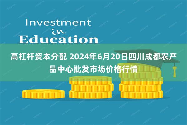 高杠杆资本分配 2024年6月20日四川成都农产品中心批发市场价格行情