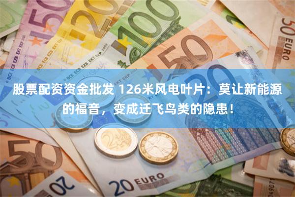 股票配资资金批发 126米风电叶片：莫让新能源的福音，变成迁飞鸟类的隐患！