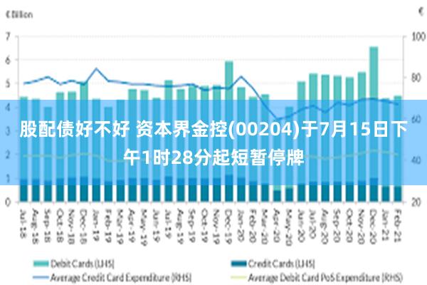 股配债好不好 资本界金控(00204)于7月15日下午1时28分起短暂停牌