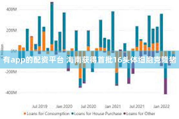 有app的配资平台 海南获得首批16头体细胞克隆猪