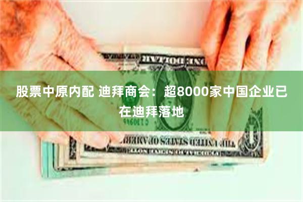 股票中原内配 迪拜商会：超8000家中国企业已在迪拜落地