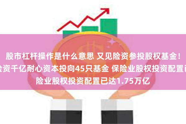 股市杠杆操作是什么意思 又见险资参投股权基金！年内近40家险资千亿耐心资本投向45只基金 保险业股权投资配置已达1.75万亿