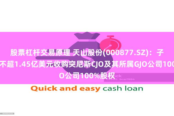 股票杠杆交易原理 天山股份(000877.SZ)：子公司拟不超1.45亿美元收购突尼斯CJO及其所属GJO公司100%股权