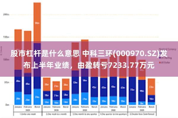 股市杠杆是什么意思 中科三环(000970.SZ)发布上半年业绩，由盈转亏7233.77万元