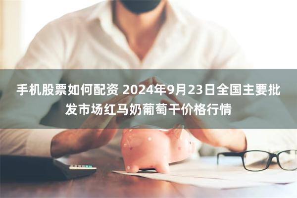 手机股票如何配资 2024年9月23日全国主要批发市场红马奶葡萄干价格行情