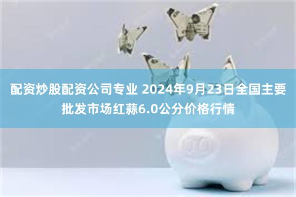 配资炒股配资公司专业 2024年9月23日全国主要批发市场红蒜6.0公分价格行情