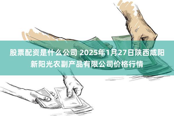 股票配资是什么公司 2025年1月27日陕西咸阳新阳光农副产品有限公司价格行情