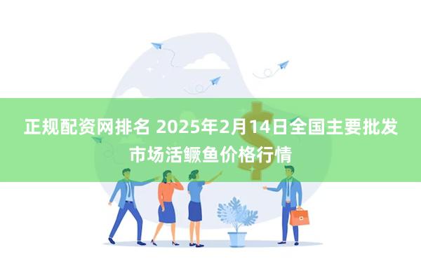 正规配资网排名 2025年2月14日全国主要批发市场活鳜鱼价格行情