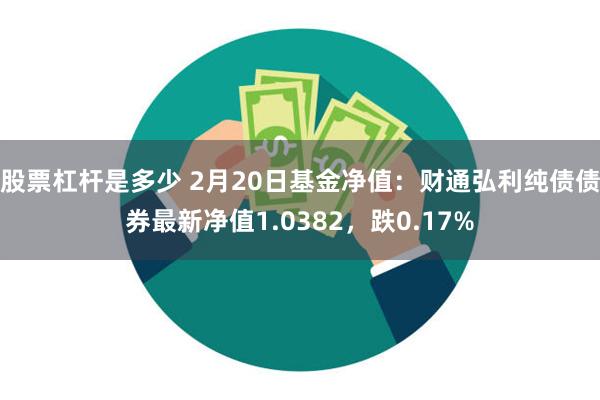 股票杠杆是多少 2月20日基金净值：财通弘利纯债债券最新净值1.0382，跌0.17%