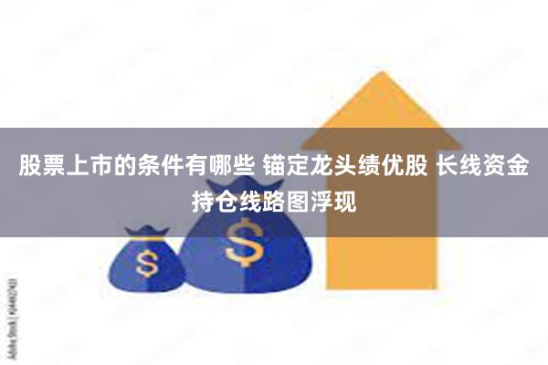 股票上市的条件有哪些 锚定龙头绩优股 长线资金持仓线路图浮现